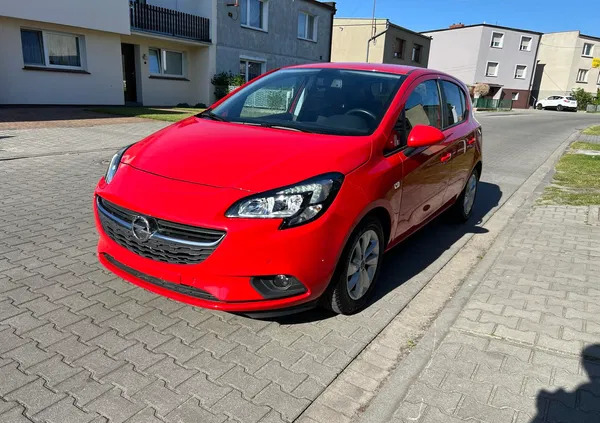 wielkopolskie Opel Corsa cena 32900 przebieg: 37788, rok produkcji 2015 z Zbąszyń